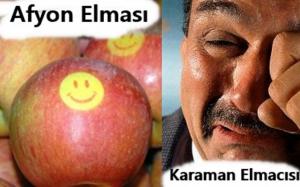 Elmada Hali P�r Melalimiz