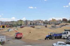 Bu�day Pazar�nda ��in Ne?