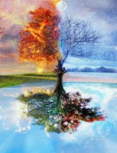 Ya�am �l�m Ve Kulluk