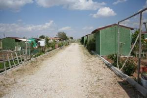 Hobi Bah�esi Sakinleri Tozdan Kurtuldu