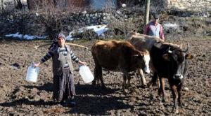 Su A�ac� (Suvac�) Nedir?